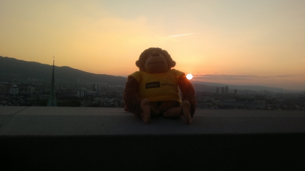 Spanky enjoying the sunset over the city - Zurich Switzerland