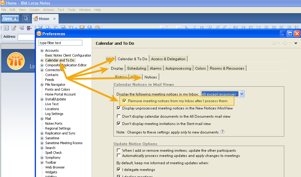 lotus notes client replication log