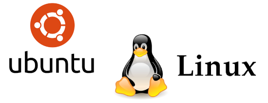 Figure 1: Ubuntu Linux